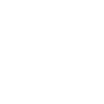 Cara logo